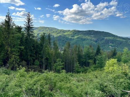 Prodej pozemku, les, 31 907 m²