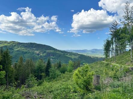 Prodej pozemku, les, 31 907 m²