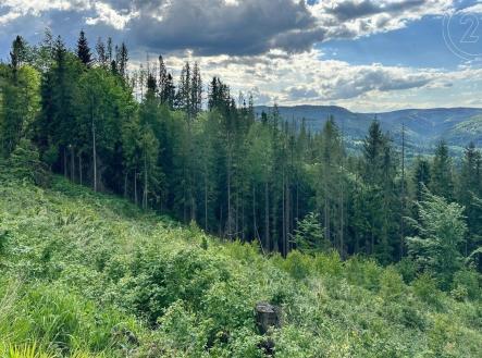 Prodej pozemku, les, 31 907 m²