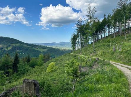 Prodej pozemku, les, 31 907 m²