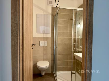 Pronájem bytu, 2+kk, 38 m²