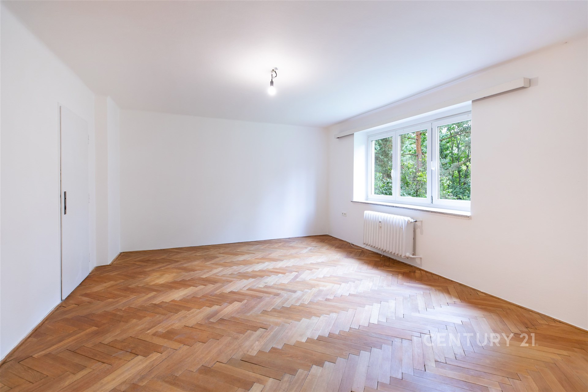 Fotku se nepodařilo načíst.