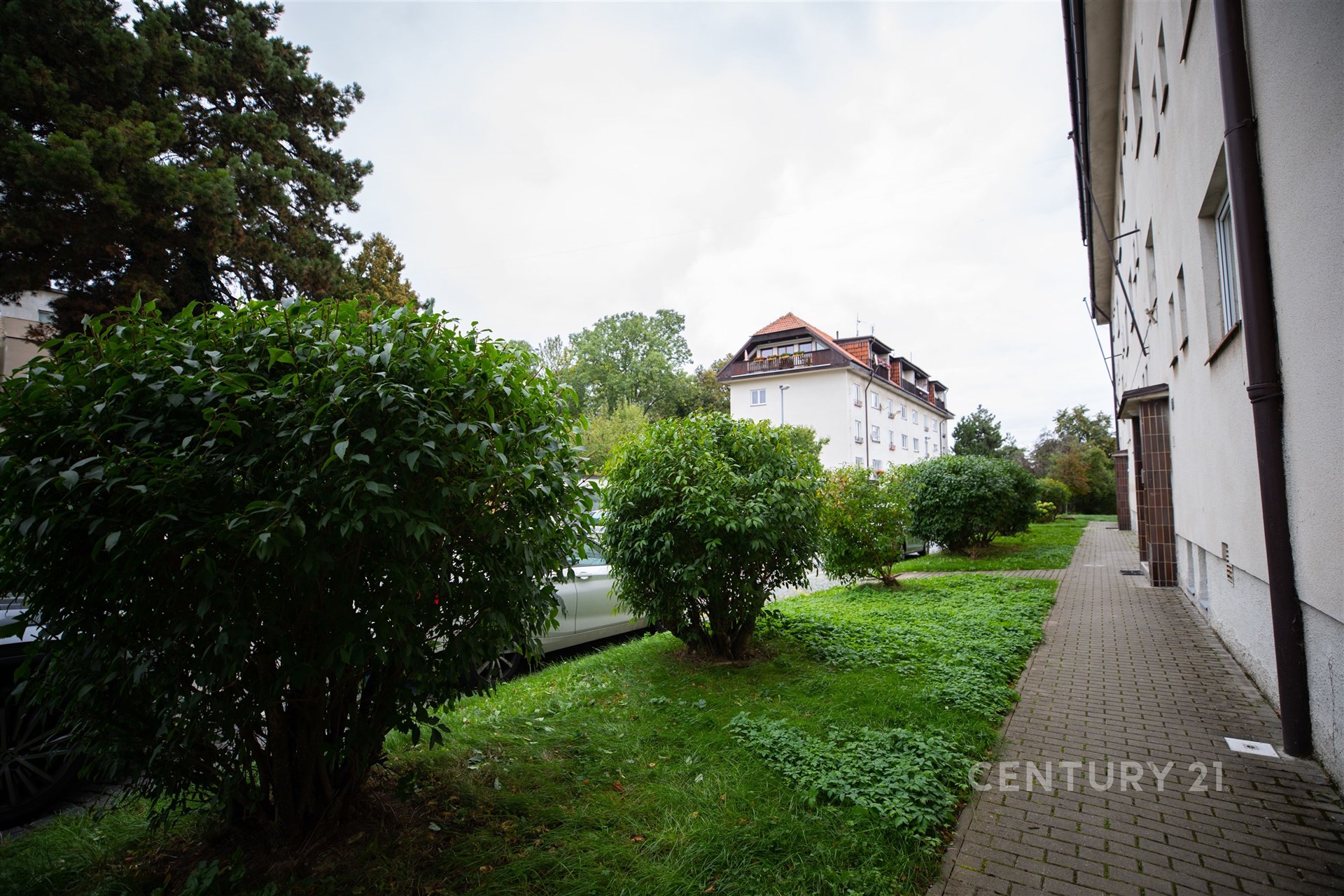 Fotku se nepodařilo načíst.