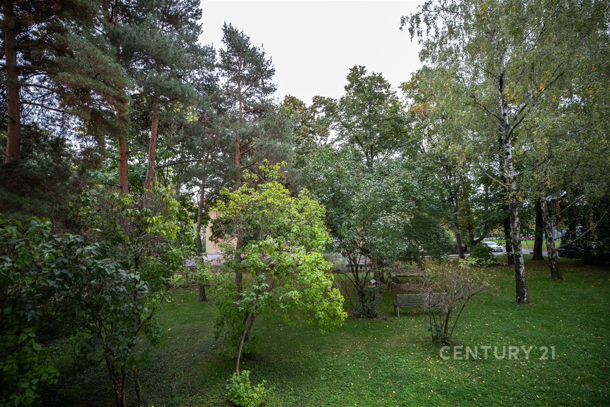 Fotku se nepodařilo načíst.