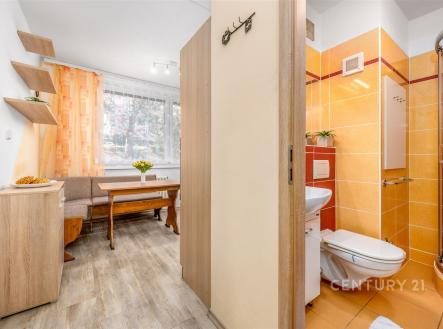 Prodej bytu, 1+1, 31 m²