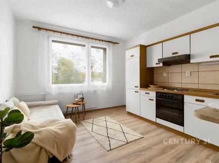 Prodej bytu, 2+kk, 40 m²