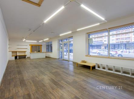 Pronájem obchodní prostor, 96 m²