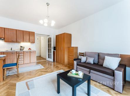 Pronájem bytu, 1+kk, 30 m²