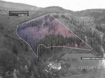 Prodej pozemku, les, 42 597 m²