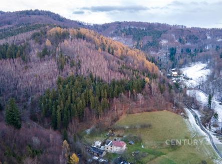 Prodej pozemku, les, 42 597 m²