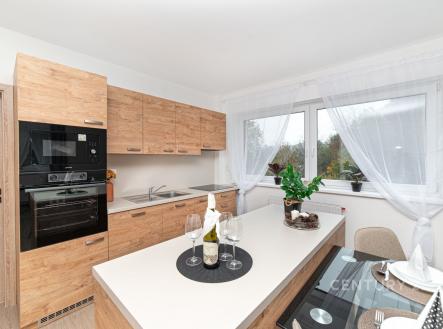 Pronájem bytu, 4+kk, 101 m²