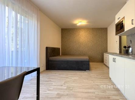 Pronájem bytu, 1+kk, 30 m²