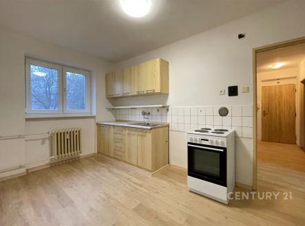 Pronájem bytu, 2+1, 56 m²