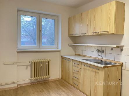 Pronájem bytu, 2+1, 56 m²