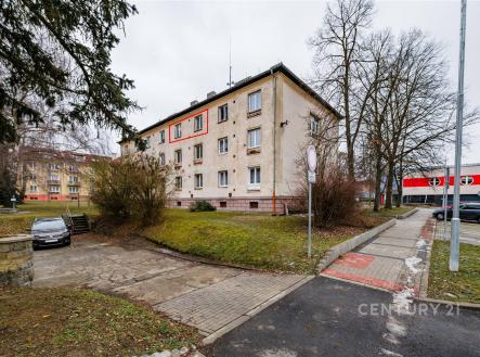 Prodej bytu, 1+1, 29 m²