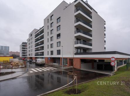 Pronájem bytu, 1+kk, 44 m²