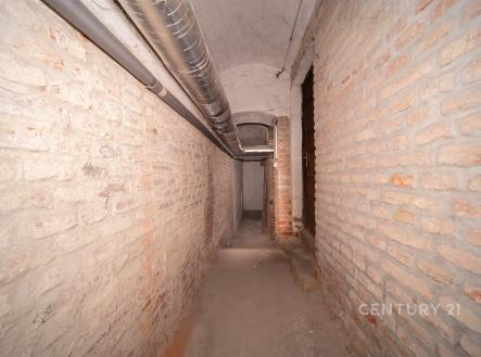 Prodej obchodní prostor, 113 m²