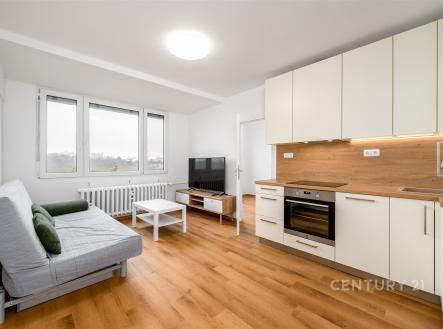 Pronájem bytu, 2+kk, 39 m²