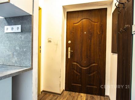 Prodej bytu, 1+1, 43 m²