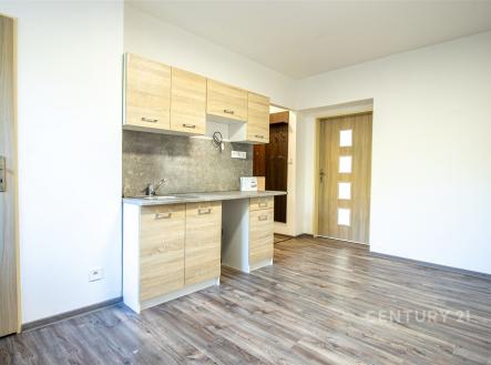 Prodej bytu, 1+1, 43 m²