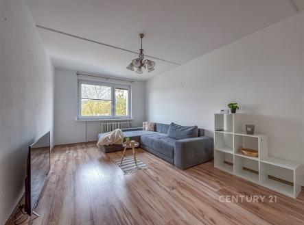 Pronájem bytu, 2+1, 65 m² obrázek