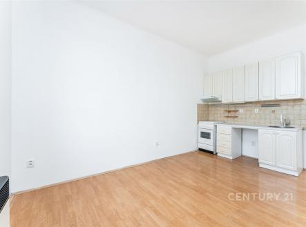 Prodej bytu, 2+kk, 46 m²