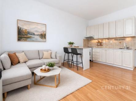 Prodej bytu, 2+kk, 46 m²