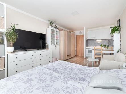 Prodej bytu, 1+kk, 27 m²