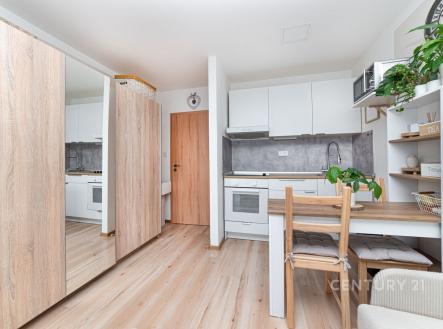 Prodej bytu, 1+kk, 27 m²