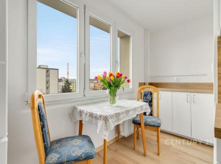 Pronájem bytu, 1+1, 41 m²