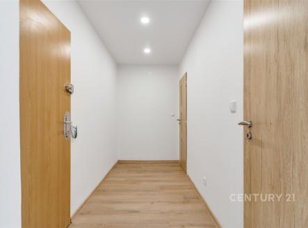 Pronájem bytu, 1+1, 41 m²