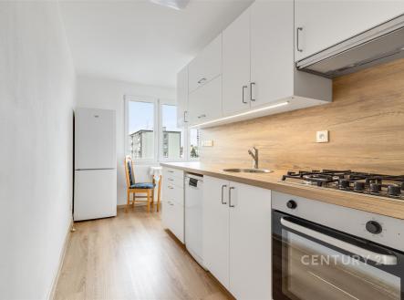 Pronájem bytu, 1+1, 41 m²