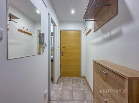 Pronájem bytu, 1+kk, 27 m²