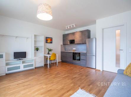 Pronájem bytu, 1+kk, 32 m²