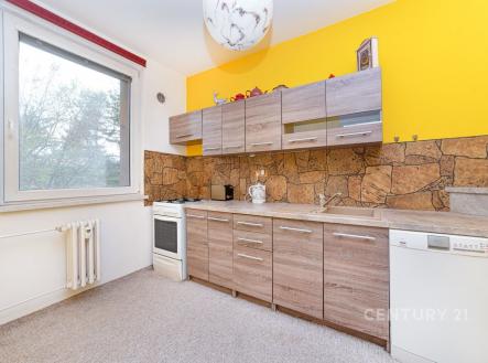 Prodej bytu, 2+1, 44 m²