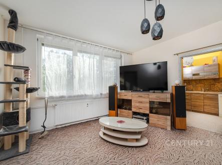Prodej bytu, 2+1, 44 m² obrázek