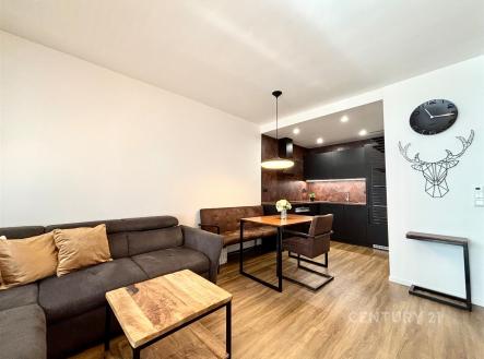 Pronájem bytu, 2+kk, 47 m²