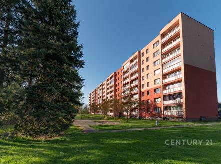 Pronájem bytu, 3+1, 73 m²