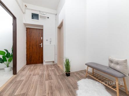 Vstupní hala s moderní vinylovou podlahou, bílými stěnami a dekorativními prvky. Světlý a prostorný interiér s kvalitními materiály.