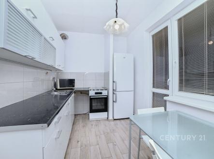 Pronájem bytu, 2+1, 52 m²