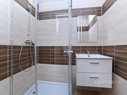 Pronájem bytu, 2+1, 52 m²