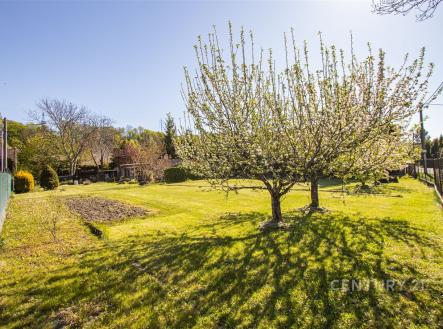 Prodej pozemku pro bydlení, 800 m²