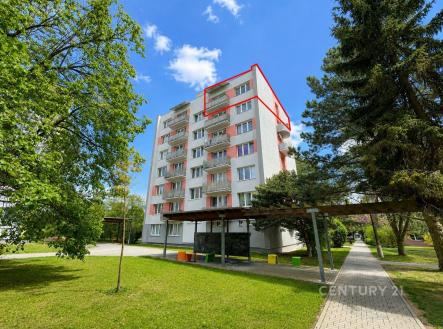 Prodej bytu, 3+1, 63 m²