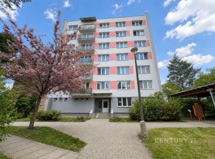 Prodej bytu, 3+1, 63 m²