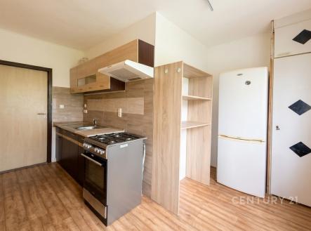 Pronájem bytu, 1+1, 38 m²
