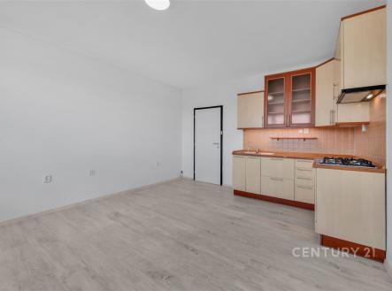 Prodej bytu, 2+kk, 43 m²