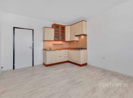 Prodej bytu, 2+kk, 43 m²