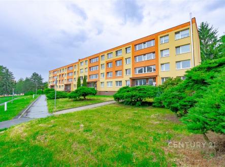 Pronájem bytu, 1+1, 27 m²
