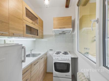 Pronájem bytu, 1+1, 27 m²