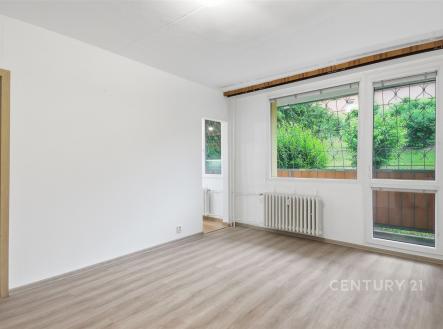 Pronájem bytu, 1+1, 27 m²